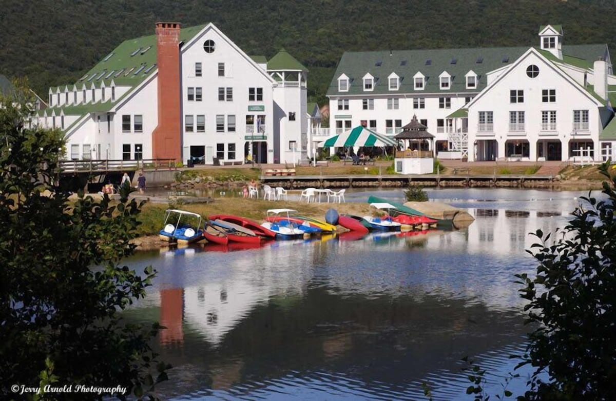 Snowy Owl Inn